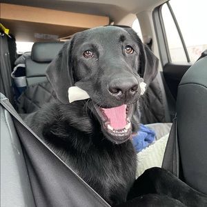 Meet your Posher, Robert